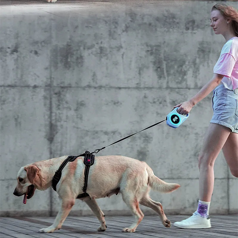 5M Automatic Retractable Dog Leash LED Luminous Leading Light Straps For Small Medium Dogs Puppy Pet Flexi Walking Running Lead