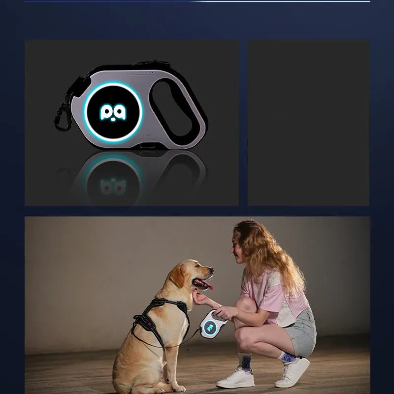 5M Automatic Retractable Dog Leash LED Luminous Leading Light Straps For Small Medium Dogs Puppy Pet Flexi Walking Running Lead
