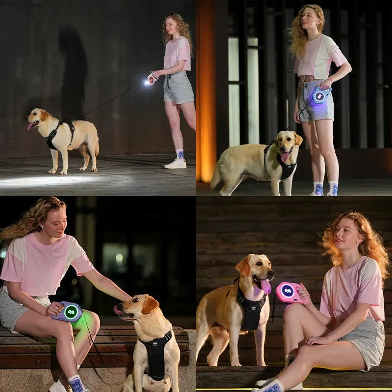 5M Automatic Retractable Dog Leash LED Luminous Leading Light Straps For Small Medium Dogs Puppy Pet Flexi Walking Running Lead